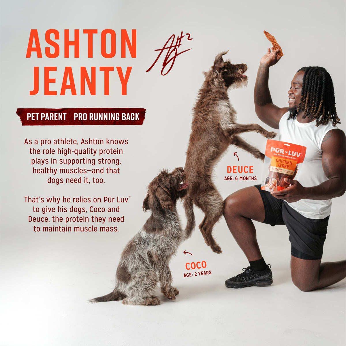 Chicken Jerky Dog Treats, 16 Ounces F280