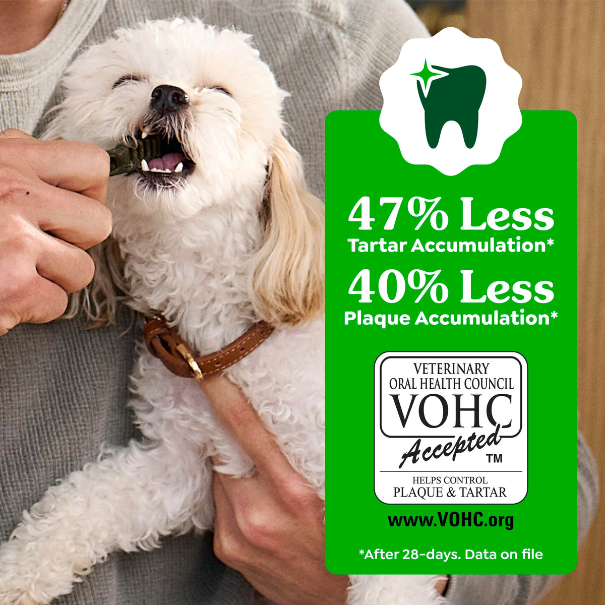 Large Dental Dog Treats 24 Count S760
