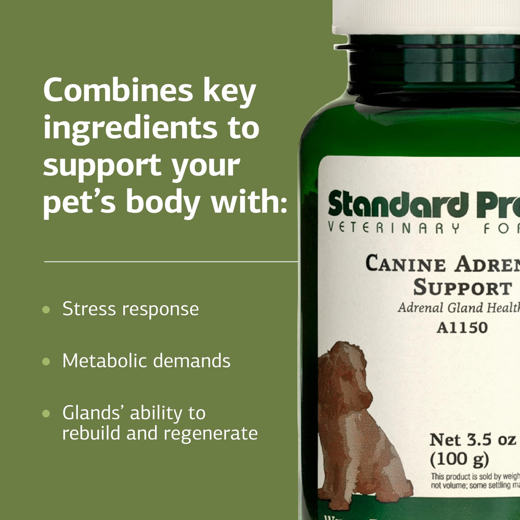 Canine Adrenal Support 100 g Q20620