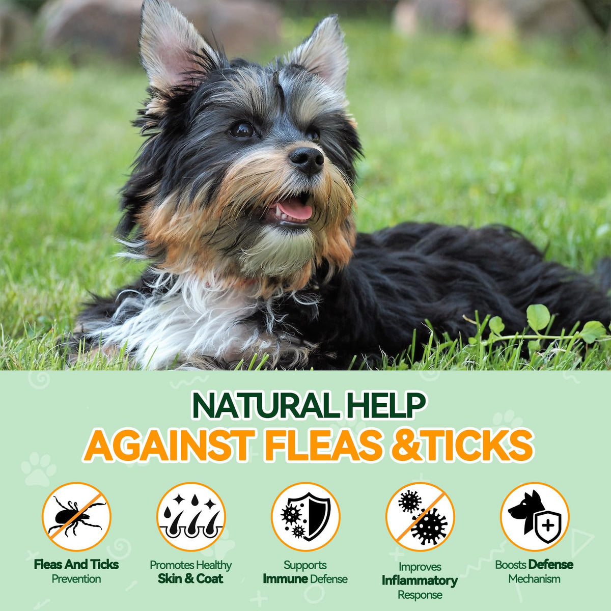 Flea and Tick Prevention for Dogs M162
