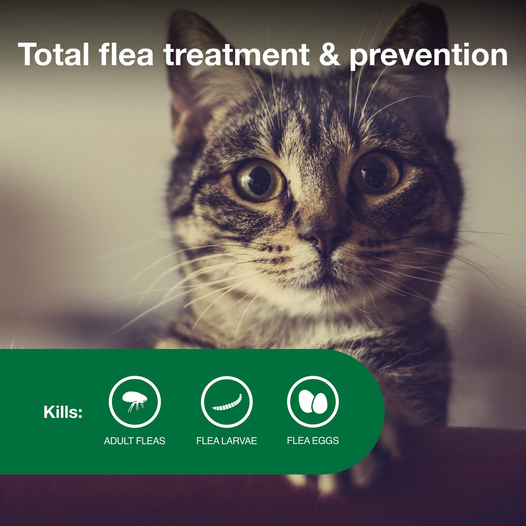 Advantage II Small Cat Topical Flea Treatment & Prevention, 2ct K9665