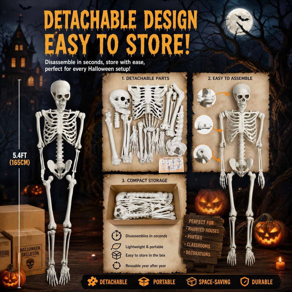 5.4FT Halloween Skeleton with Movable Joints Q3412