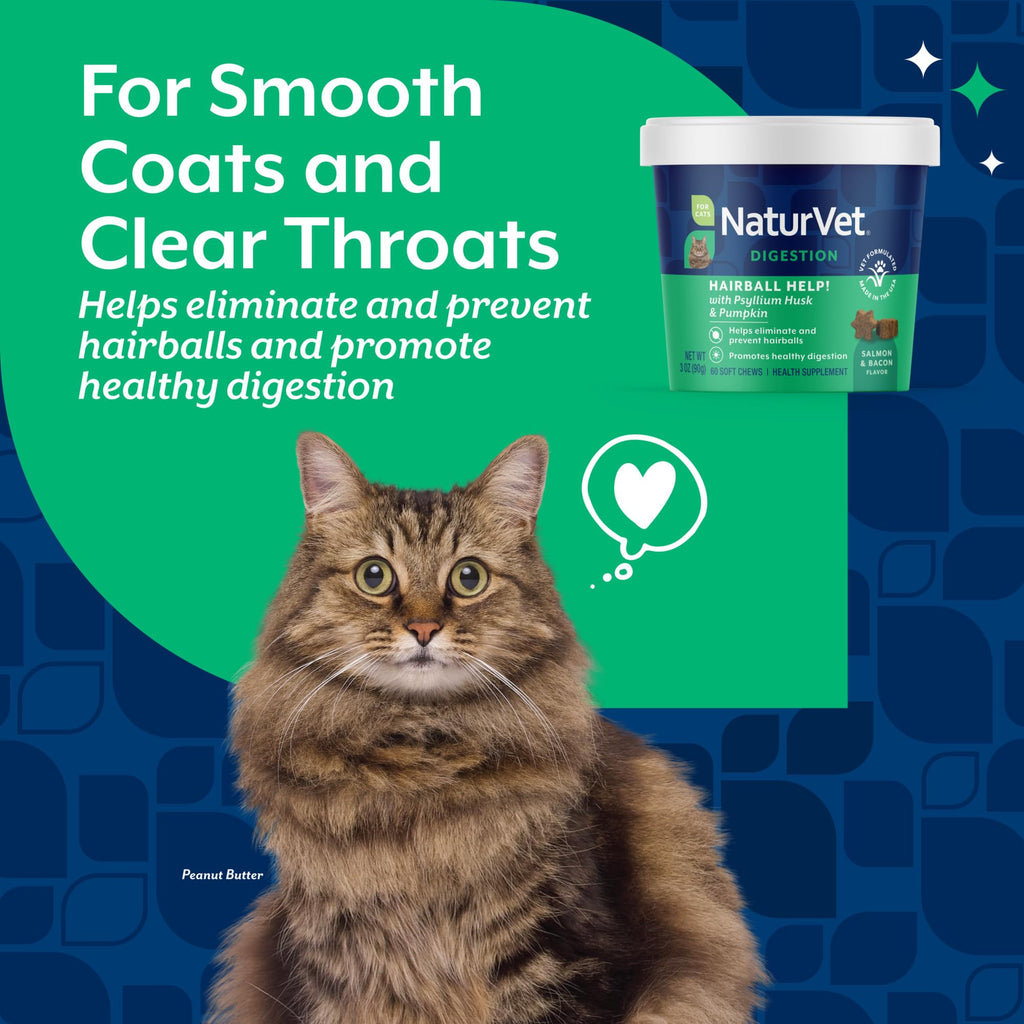 Hairball Aid Supplement for Cats Plus Pumpkin 60 Soft Chews S32841