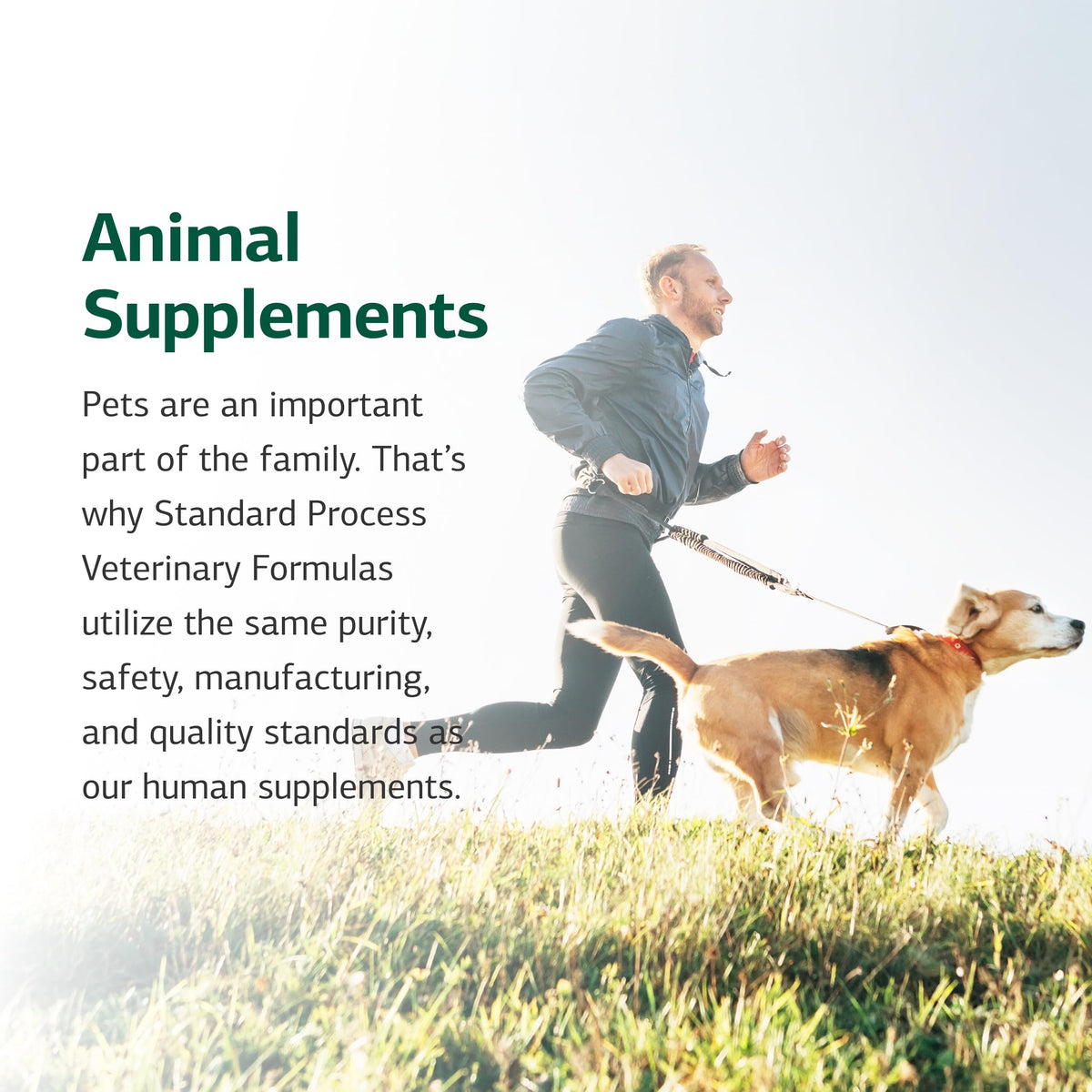 Canine Adrenal Support 100 g Q20620