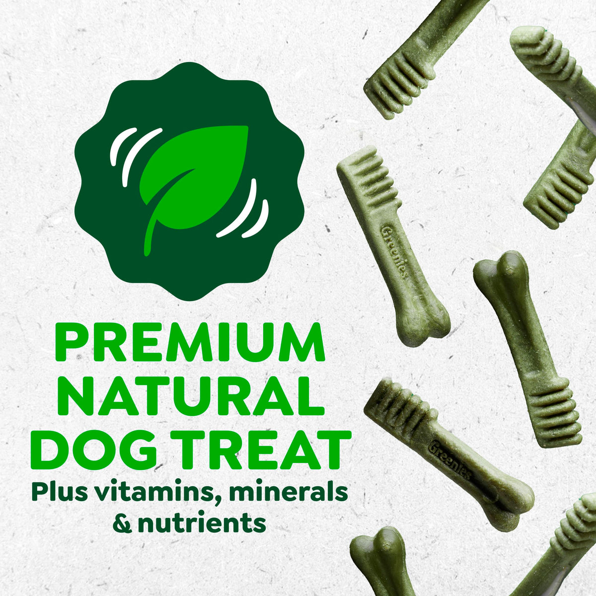 Large Dental Dog Treats 24 Count S760