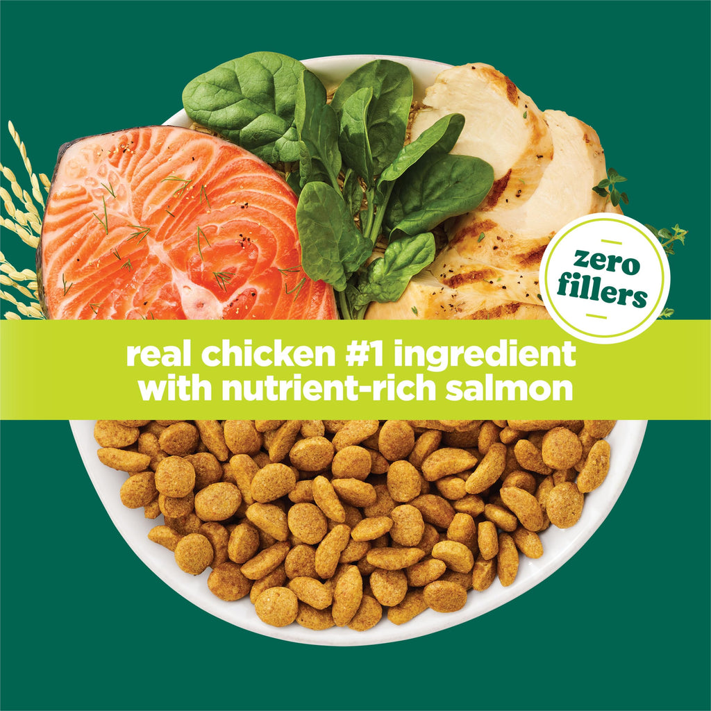 High Protein Dry Cat Food with Vitamins and Minerals 35 lb Bag J100