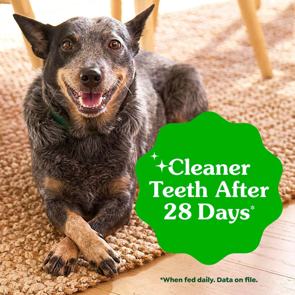 Large Dental Dog Treats 24 Count S760